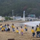 월포초등학교 이미지