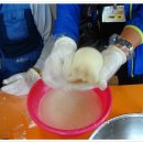 보배목장 이미지