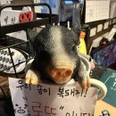 로또구로역점 네이버블로그