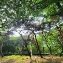 승기근린공원 이미지