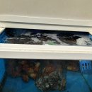 회랑 | [전남 여수] 삼치회 블루리본 맛집 “여수사시사철삼치회” 솔직후기