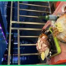 여수시민로 이미지