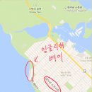 록키잉글리쉬