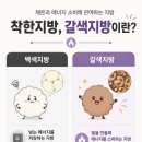 모어데이 파라다이스 그레인 버닝 후기 기초대사량 관리템 추천
