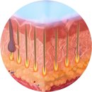 엑시온(Exion) 이미지