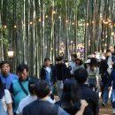 담양대나무축제 이미지