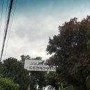 드린겐 애견테마파크 이미지