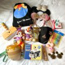 까만통 | 도쿄 디즈니랜드 굿즈 뭐 살까? 머리띠 팝콘통 실제 쇼핑리스트(가격 포함)