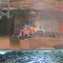 부천로보파크 이미지