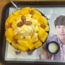 화석시대흑석점 이미지
