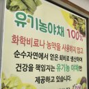 정원 | 대전 상소동 만인산 맛집 정원쌈밥 후기