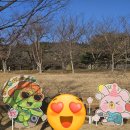 영암 여행 1+1 (독천5일장, 왕인박사유적지, 달맞이공원)