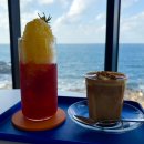 소금빌레 | 제주/애월] 리부아르: 토리와 함께한 내돈내산 오션뷰 카페! 소금빌레 솔트라떼 &amp; 한라봉 선셋 솔직후기 🐶🌊