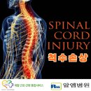 알엠병원 이미지