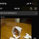 해경붕어빵