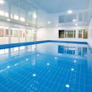 퍼피스테이 온수수영장 애견펜션 이미지