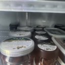 농업회사법인도리돌마을 | (홍보)겨울 숯불에 익는 이동갈비… 도리돌마을서 바베큐 체험장 운영주민 주도 10년째 행사… “가격...