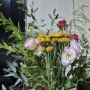 강씨횟집 이미지