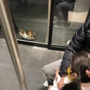 현대자동차봉곡점 | 가족 외식할 땐, 전원숯불갈비 구미봉곡점