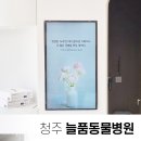 늘품동물병원 이미지