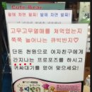 란센스