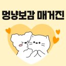 뽀감 이미지