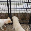 KT 전화국 앞 이미지