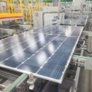 (주)태양광솔루션 | 머스크 100GW 태양광 선언, 한화솔루션 주가 급등 이유 정리