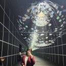 정원비디오 이미지