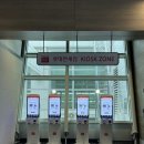 7104 | 온라인 롯데면세점 쇼핑리스트 추천 가격까지 정리