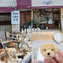 나비공방 | 강릉여행원데이클래스 강릉체험공방 강릉양모펠트공방 나비담소