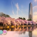 오크우드 프리미어 인천 이미지