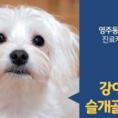 파발로151번길 이미지