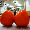 시외버스터미널 앞 이미지