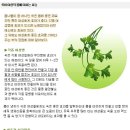 우리몸애 이미지