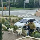 설현농장 | 고창 반려견 동반 당일치기 여행