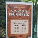 아이랑 제주 여행 실내 관광지 세계자동차&amp;피아노박물관 솔직 후기