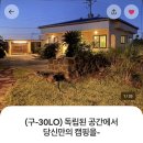 모리스테이 이미지