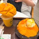 노랗노랗 | 다낭 카페그린(CAFE GREEN) 생망고빙수, 망고주스 맛 후기