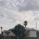 한원소담 이미지