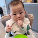 모모푸드 티스토리