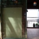 느티나무와 곰이복이 이미지