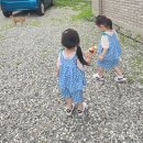 앤 투게더 키즈 풀빌라 | 홍천 아기랑 앤투게더키즈풀빌라 :: 재방문예정 내돈내산 찐후기