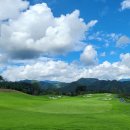오로라 - 달성군 테크노상업로4길 17-9 | 오로라