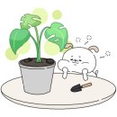 행복나눔화원 이미지