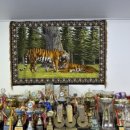 화신태권도체육관 이미지