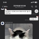 홍경태동물병원 이미지