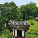 영월 보덕사 목조아미타삼존불좌상 이미지