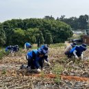 섬마을 유통 이미지