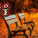 영천보현산댐출렁다리에서 이미지